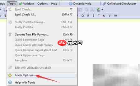 关闭Validator字符引用转换
