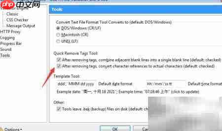 关闭Validator字符引用转换