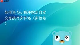 如何为 Go 程序指定自定义可执行文件名(非包名)