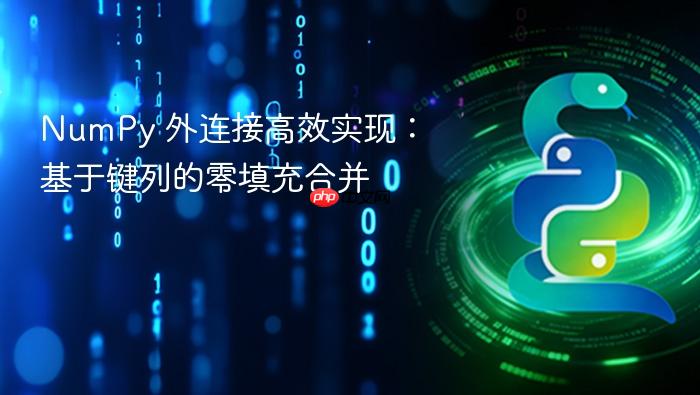 NumPy 外连接高效实现:基于键列的零填充合并