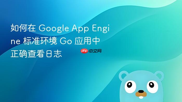 如何在 Google App Engine 标准环境 Go 应用中正确查看日志