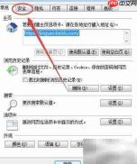 松散XAML启用方法