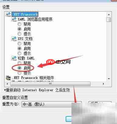 松散XAML启用方法