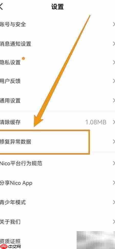 Nico软件异常数据修复指南