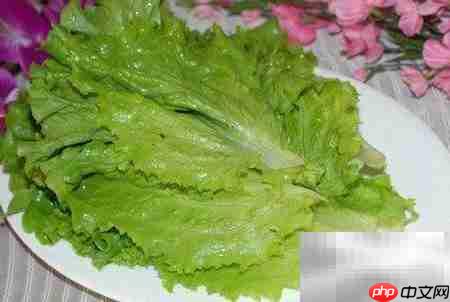 老年人糖尿病饮食指南