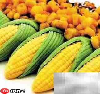老年人糖尿病饮食指南