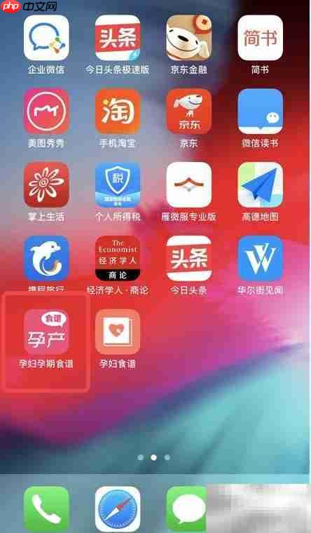 孕妇食谱App反馈指南
