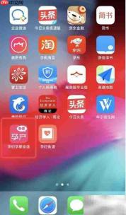 孕妇食谱App反馈指南