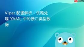 Viper 配置解析:优雅处理 YAML 中的接口类型数据