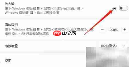 联想电脑开启屏幕放大镜方法
