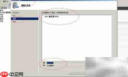 卸载Win2008R2 .NET角色服务