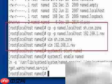 Linux配置DNS与网站连接