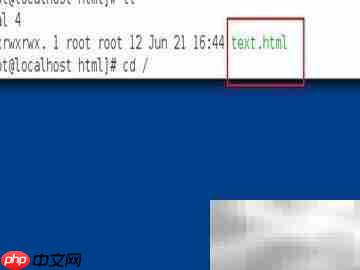 Linux配置DNS与网站连接