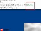 Linux配置DNS与网站连接