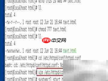 Linux配置DNS与网站连接