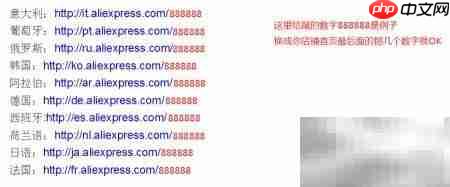 速卖通多国语言设置指南