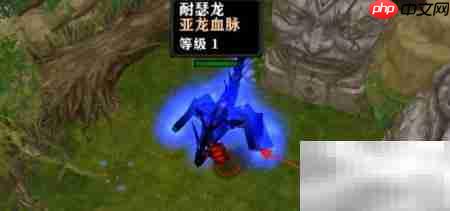 龙脉2通关技巧速览