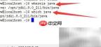 Linux系统Java版本更新指南