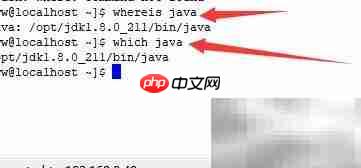 Linux系统Java版本更新指南