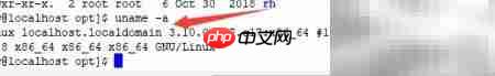 Linux系统Java版本更新指南