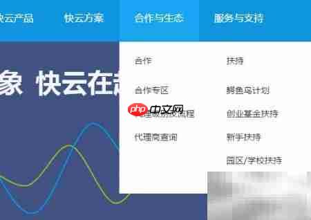 新网站优化全攻略