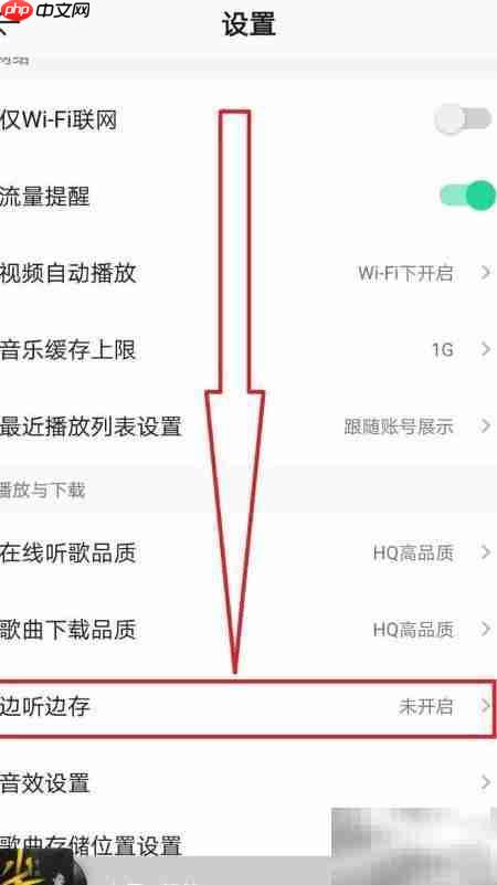 QQ音乐免费边听边存设置