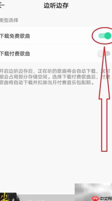 QQ音乐免费边听边存设置