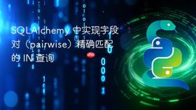 SQLAlchemy 中实现字段对(pairwise)精确匹配的 IN 查询