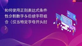 如何使用正则表达式条件性分割数字与后续字符组合（仅当特定字母开头时）