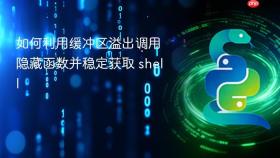 如何利用缓冲区溢出调用隐藏函数并稳定获取 shell