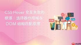 CSS Hover 交互失效的根源：选择器作用域与 DOM 结构匹配原理
