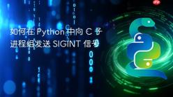 如何在 Python 中向 C 子进程组发送 SIGINT 信号