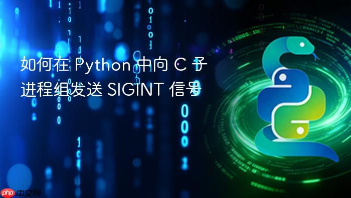 如何在 Python 中向 C 子进程组发送 SIGINT 信号