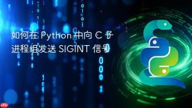 如何在 Python 中向 C 子进程组发送 SIGINT 信号