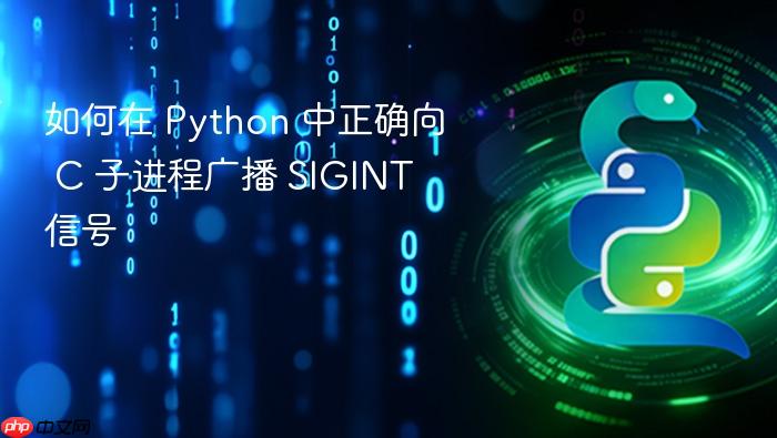 如何在 Python 中正确向 C 子进程广播 SIGINT 信号