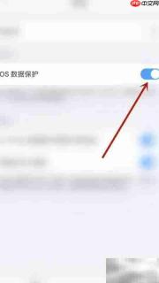 PDF Expert关闭数据保护