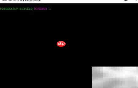 Windows安装Git详细教程