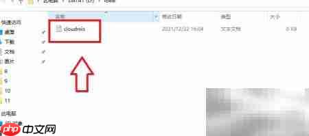 ideal导入cloudmis方法