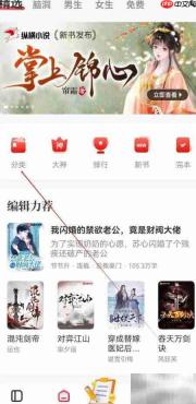 纵横小说系统流查找指南