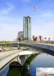 减少动迁的合理化建议
