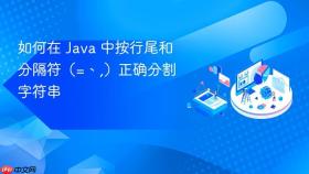如何在 Java 中按行尾和分隔符(=、,)正确分割字符串