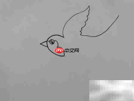 燕子简笔画:轻松学会飞翔姿态