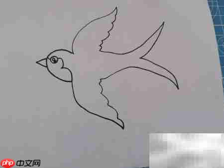 燕子简笔画:轻松学会飞翔姿态