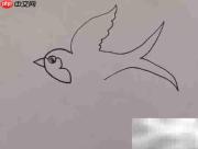 燕子简笔画:轻松学会飞翔姿态