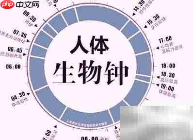 人体第三状态揭秘