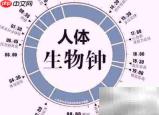 人体第三状态揭秘