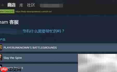 Steam客服联系方式汇总