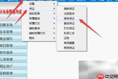 会计软件审核000号凭证技巧