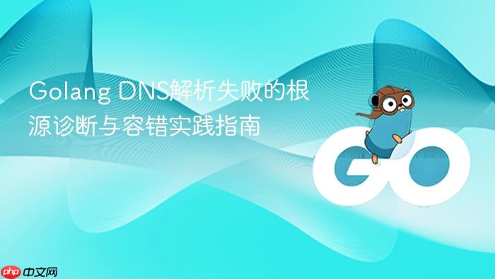 Golang DNS解析失败的根源诊断与容错实践指南
