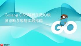 Golang DNS解析失败的根源诊断与容错实践指南